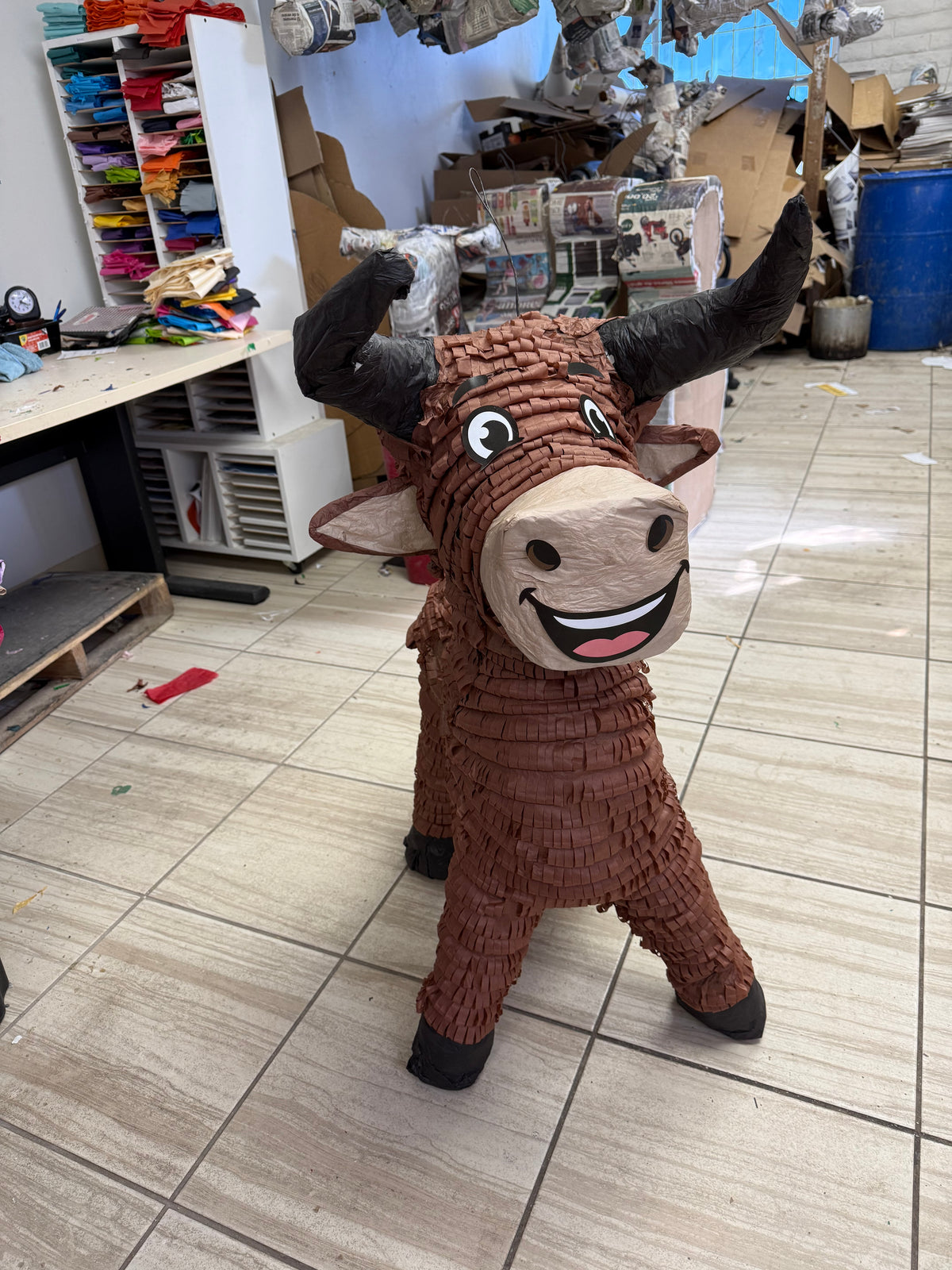 Bull: Brown - Toro: Cafe