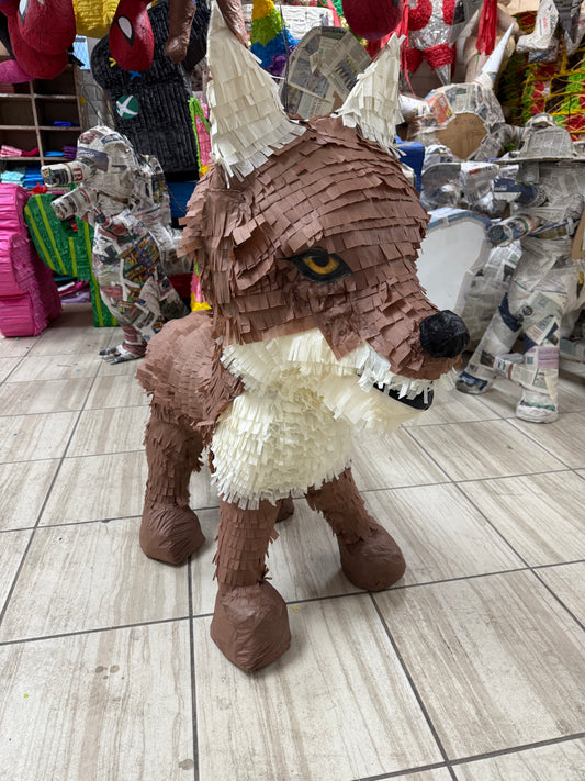 Coyote