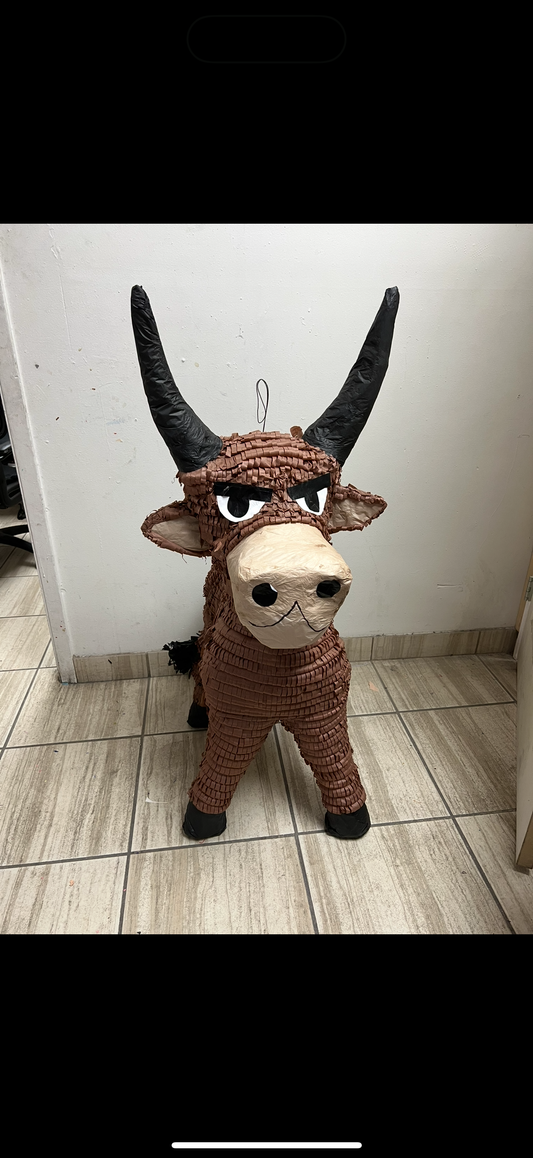 Bull: Brown - Toro: Cafe