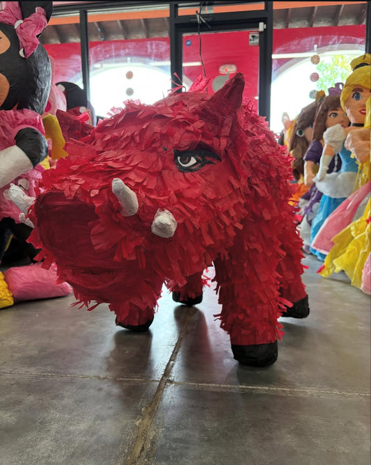 Arkansas Razorback