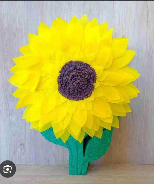 Sunflower - Girasol